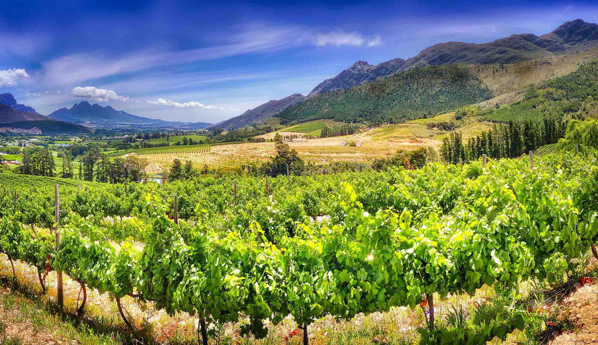 Stellenbosch South Africa