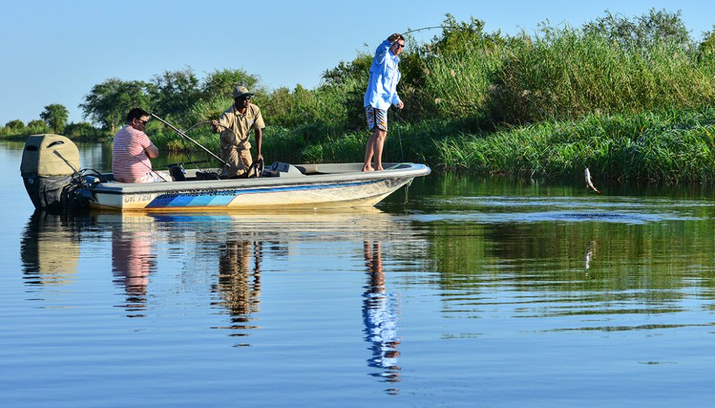 Chobe Princess Activities