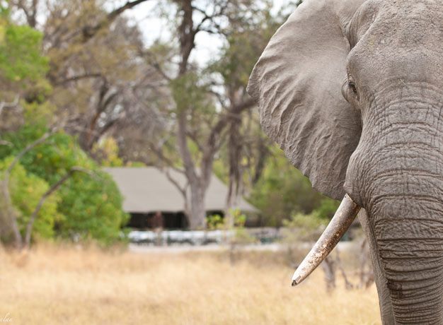 ASK THE EXPERTS – OUR TOP 10 TIPS FOR AFRICA TRAVEL THIS YEAR