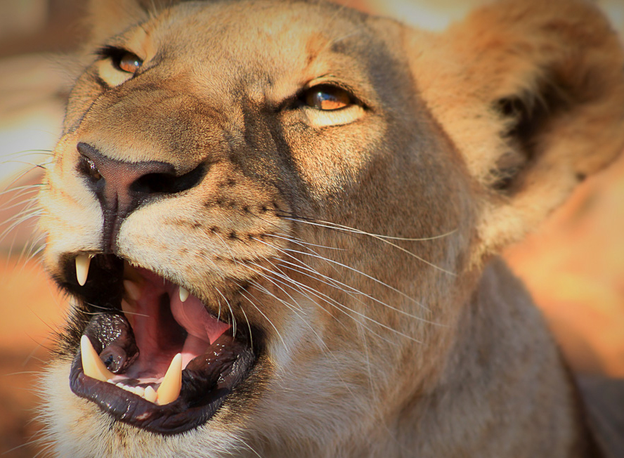 Travel to Awaken all the Senses