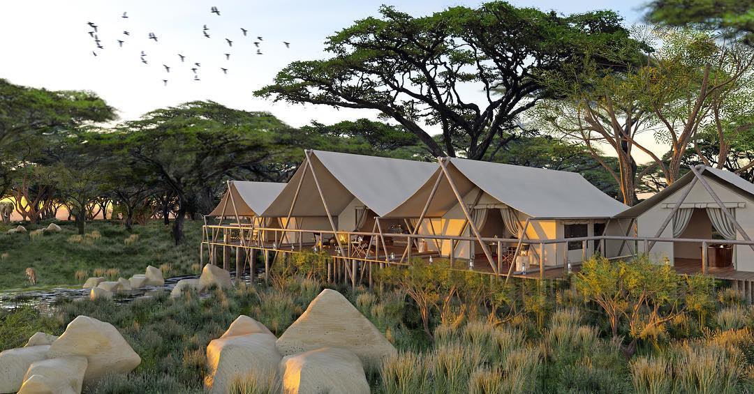 Migration safari masai