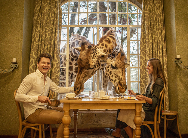 Top 4 Unique Dining Experiences in Kenya