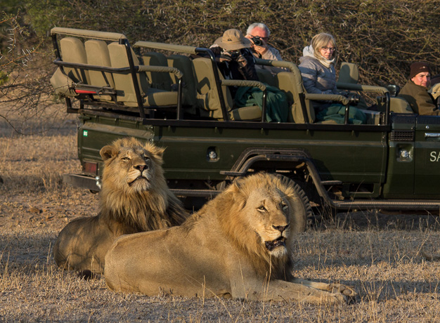 Do Australians need a Visa for South Africa?