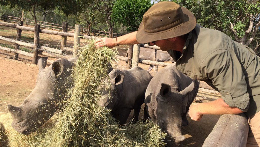 Special Offer Volunteering Africa