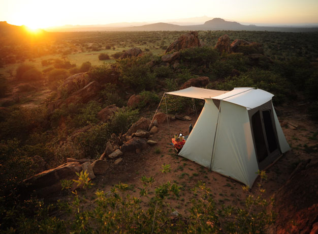 A Walk on the Wild Side with Lance Richardson