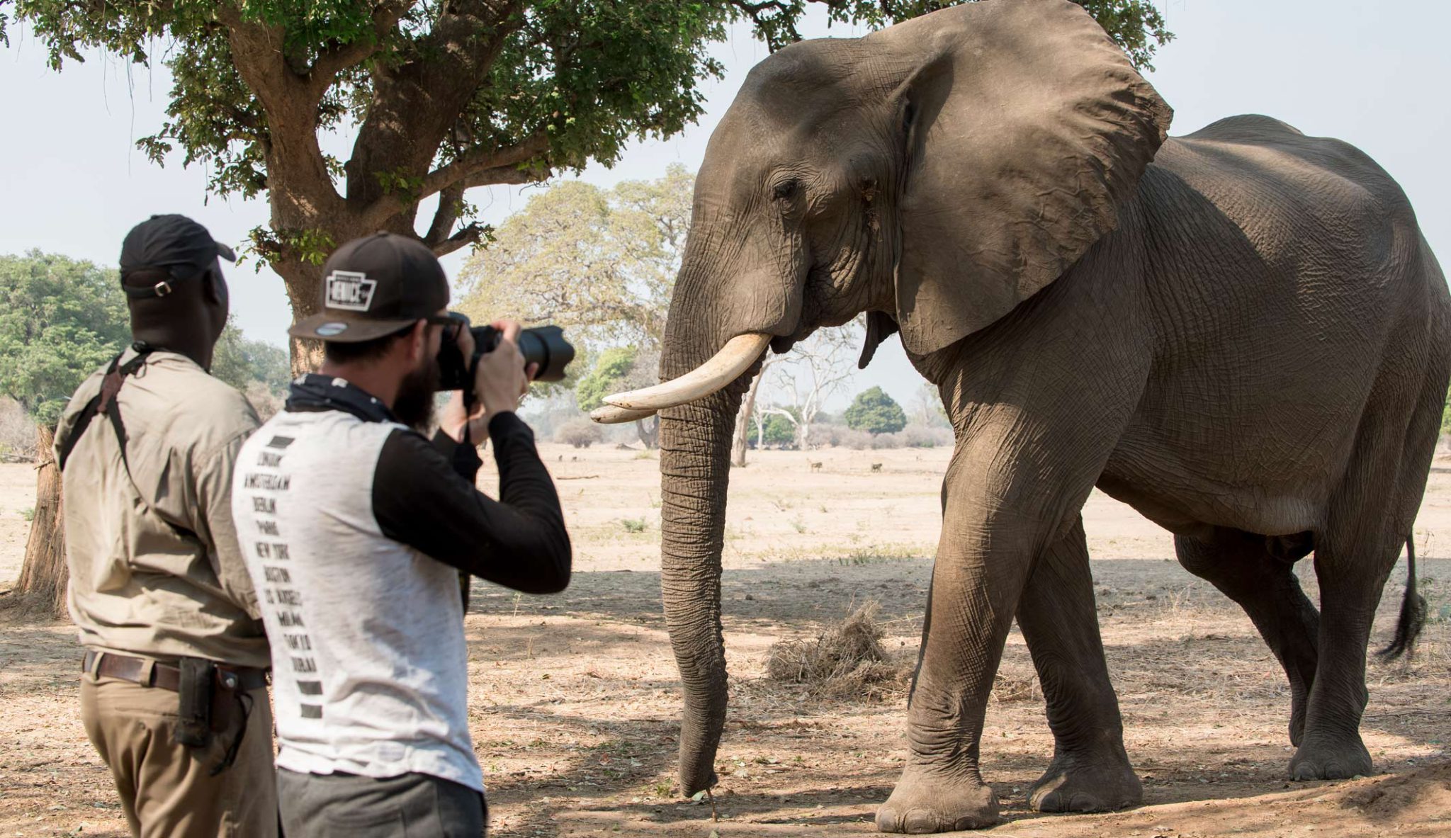 Walking Safari Zimbabwe