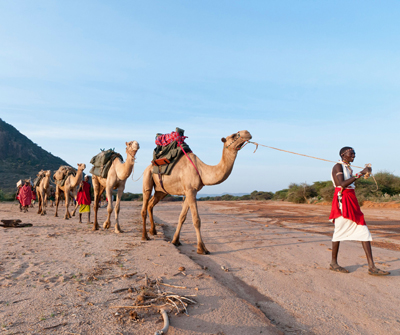 5 Unique Activities for Your Next Africa Holiday