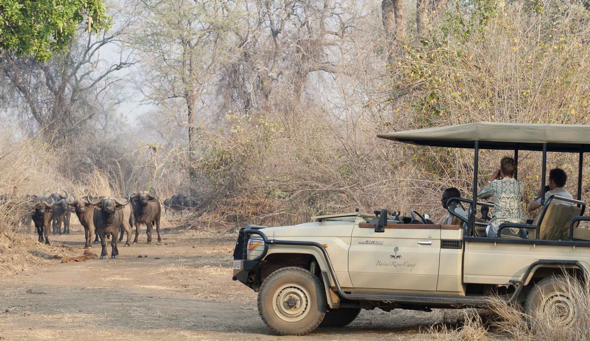 Wildlife Safari Lower Zambezi