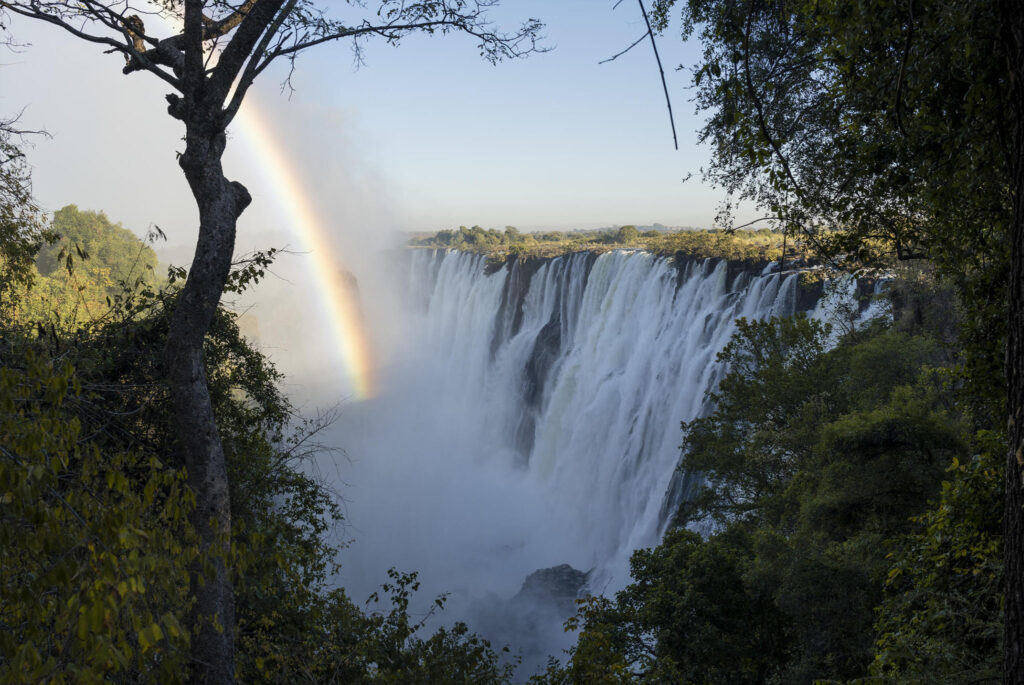 Zambia