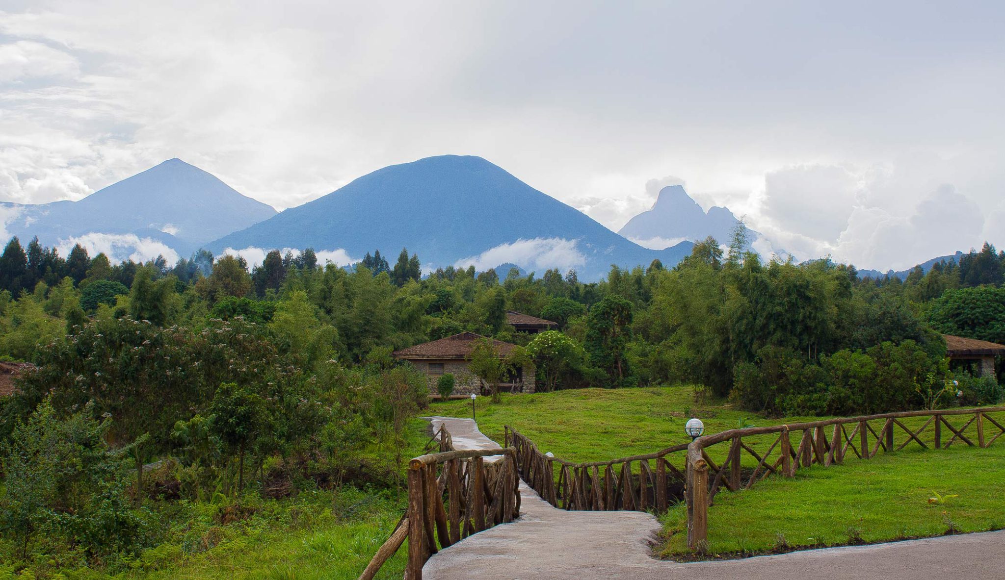 Gorilla Mountain View Rwanda