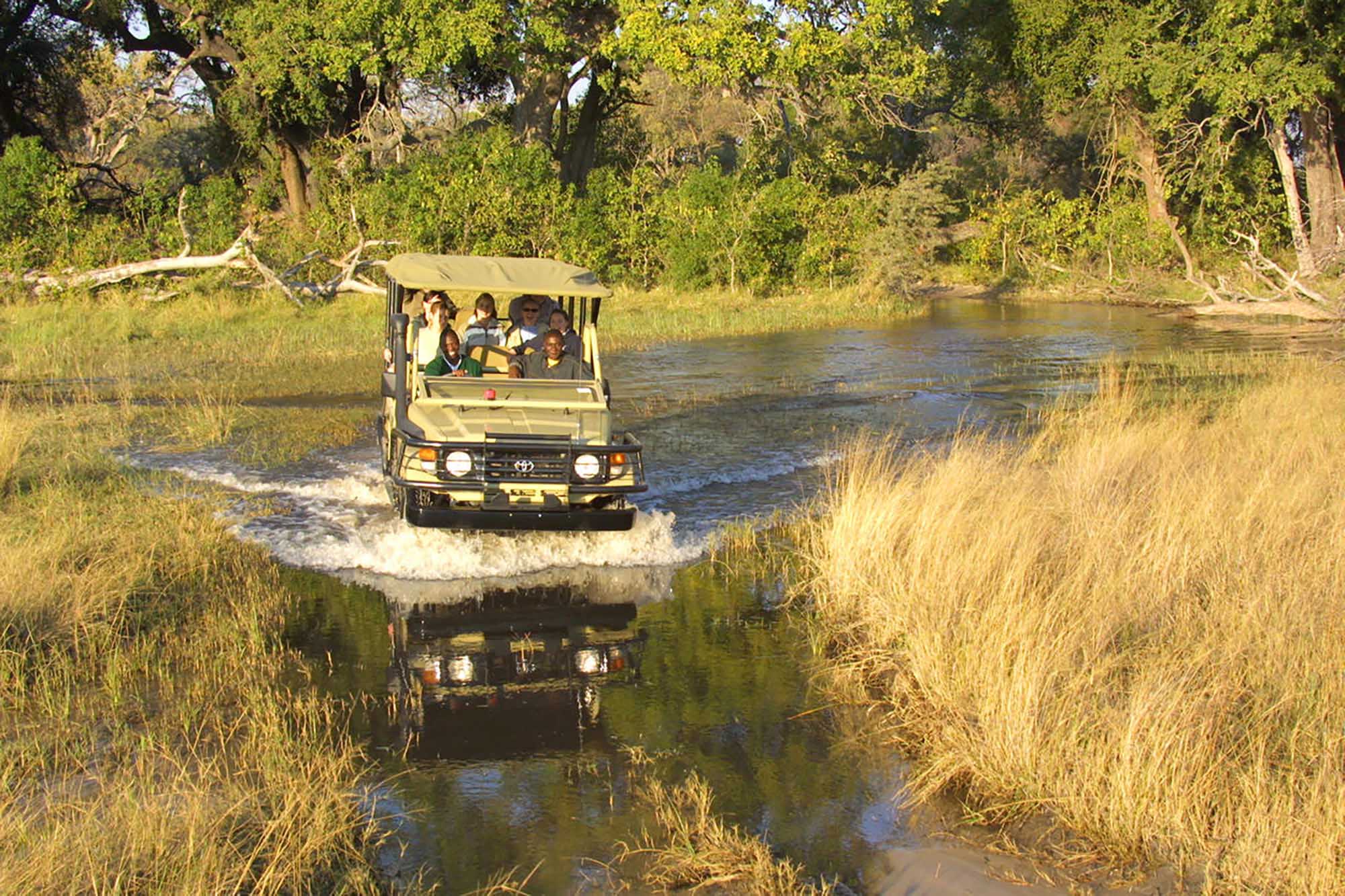 Pom Pom is located in the central reaches of the Okavango Delta in a private concession area to the west of the Moremi Game Reserve. Surrounded by wonderful Okavango scenery this is a camp for the safari traditionalist as it offers warmth and comfort but not the luxurious trappings associated with so many of Botswana’s camps. There are just nine large tents each with en suite showers which are open to the stars for a true bush experience. The dining area