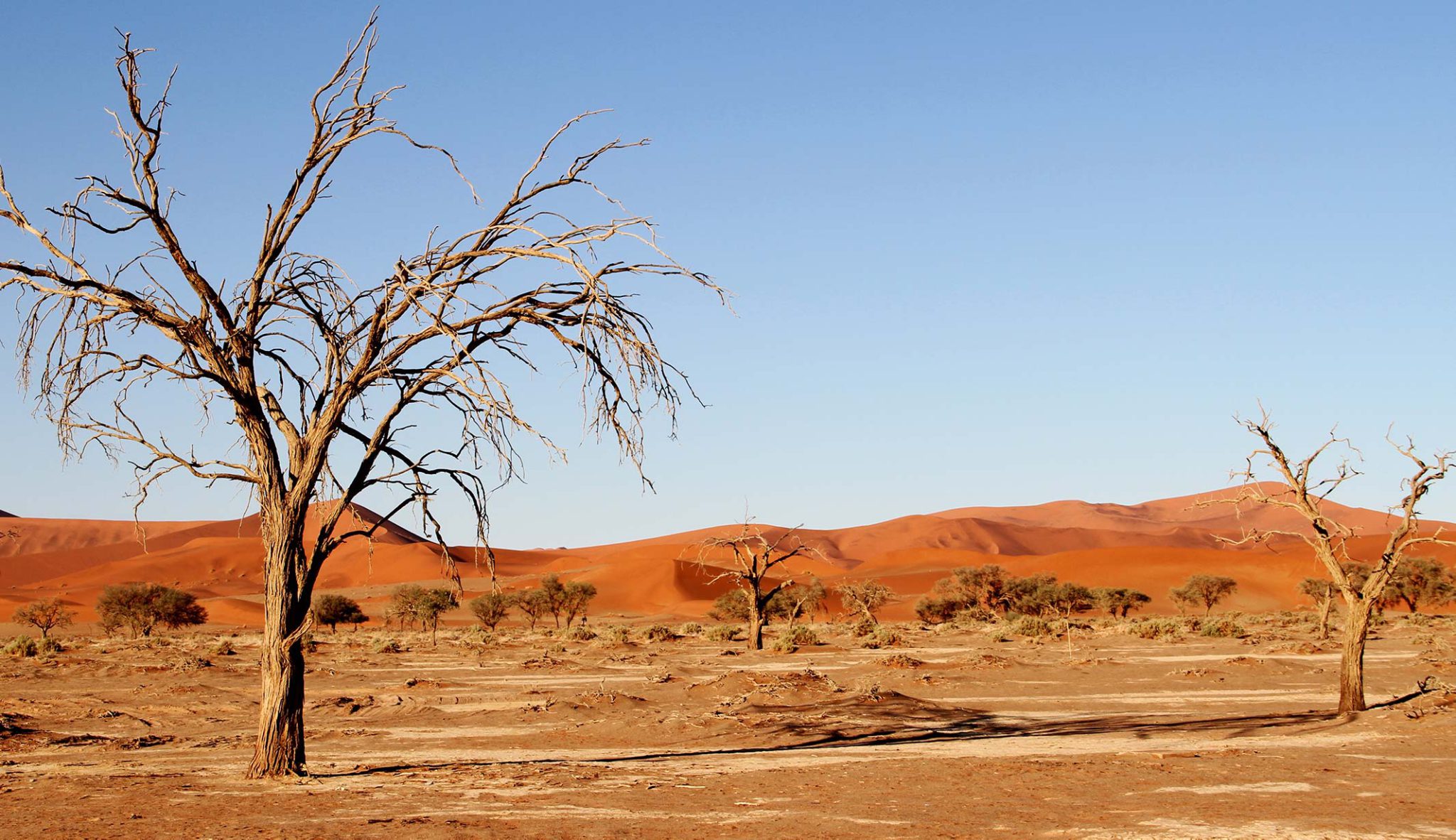 Explore the diversity of the National Parks and Reserves of Namibia and Botswana. Seek out the wildlife