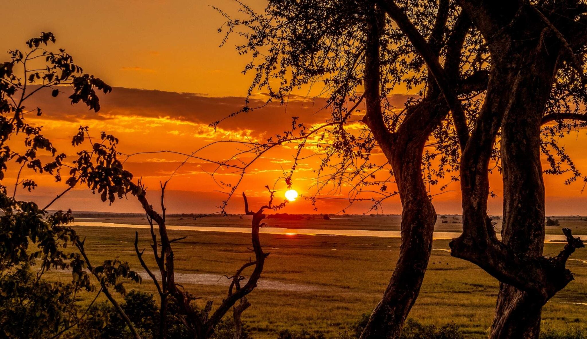 Bright orange sunset at Chobe National Park