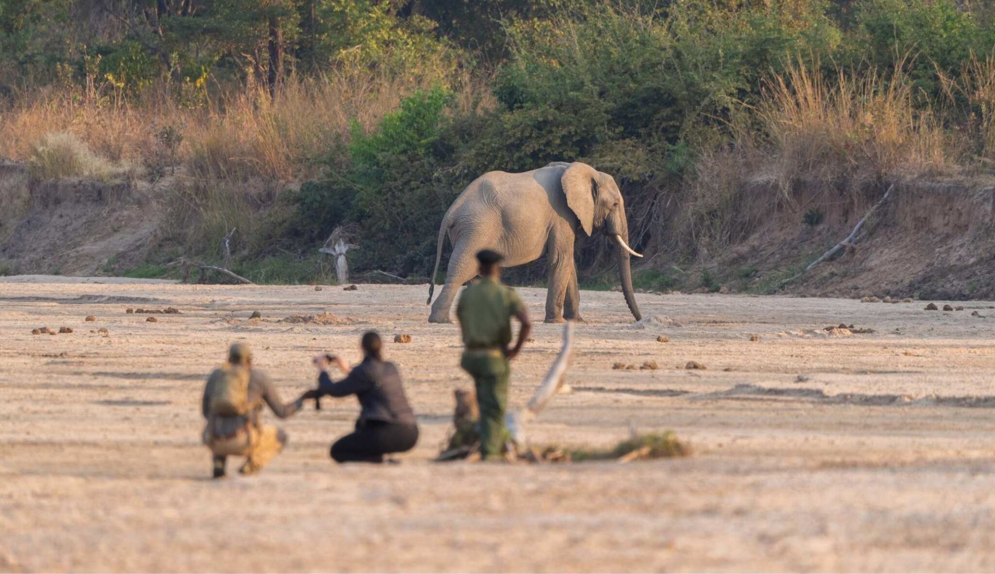 Time and Tide walking safari