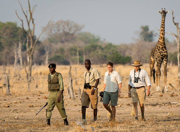 How to prepare for a walking safari