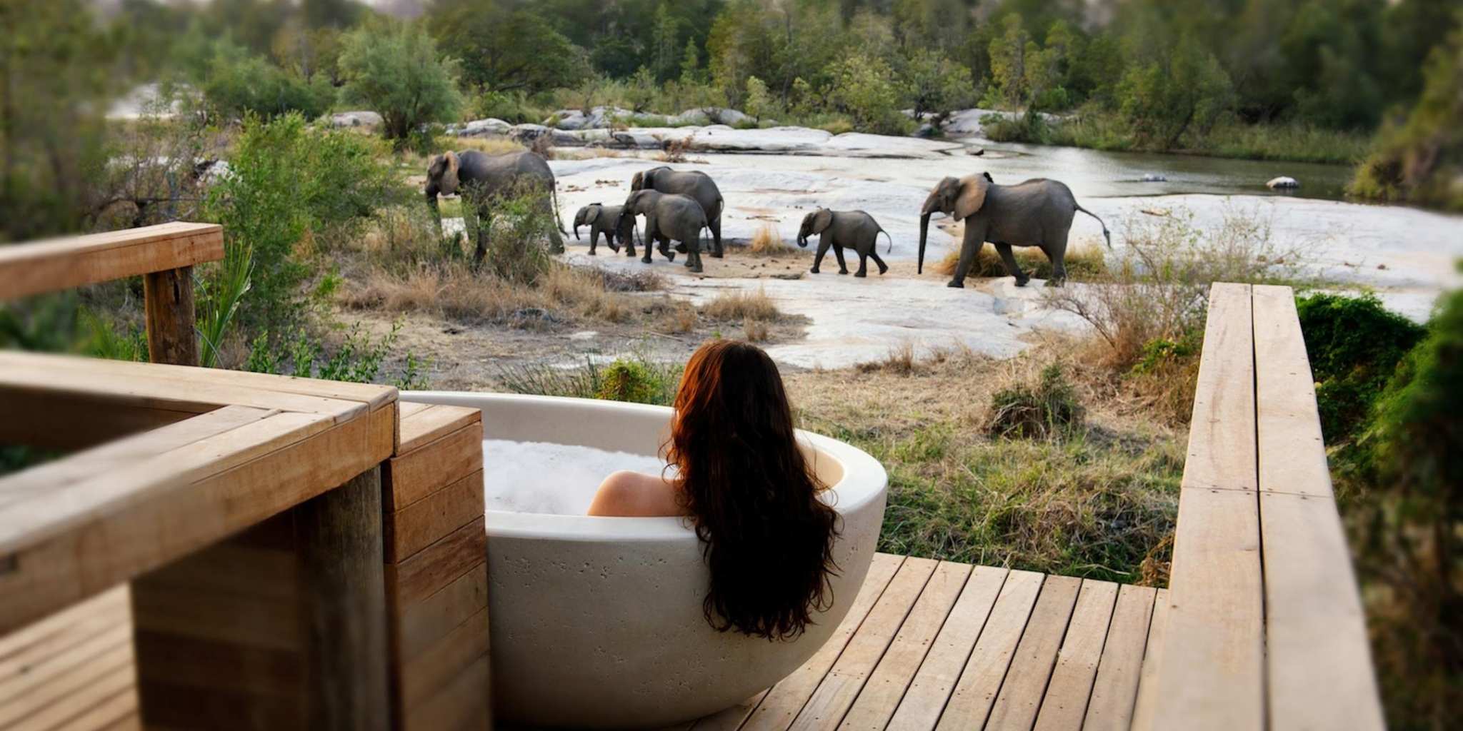 Bathing next to elephants