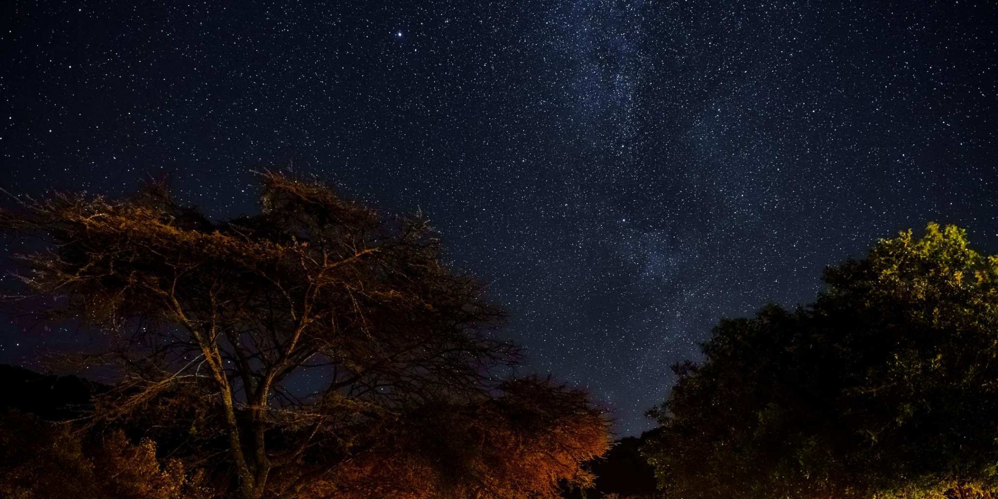 View of the stars from Cottars Camp