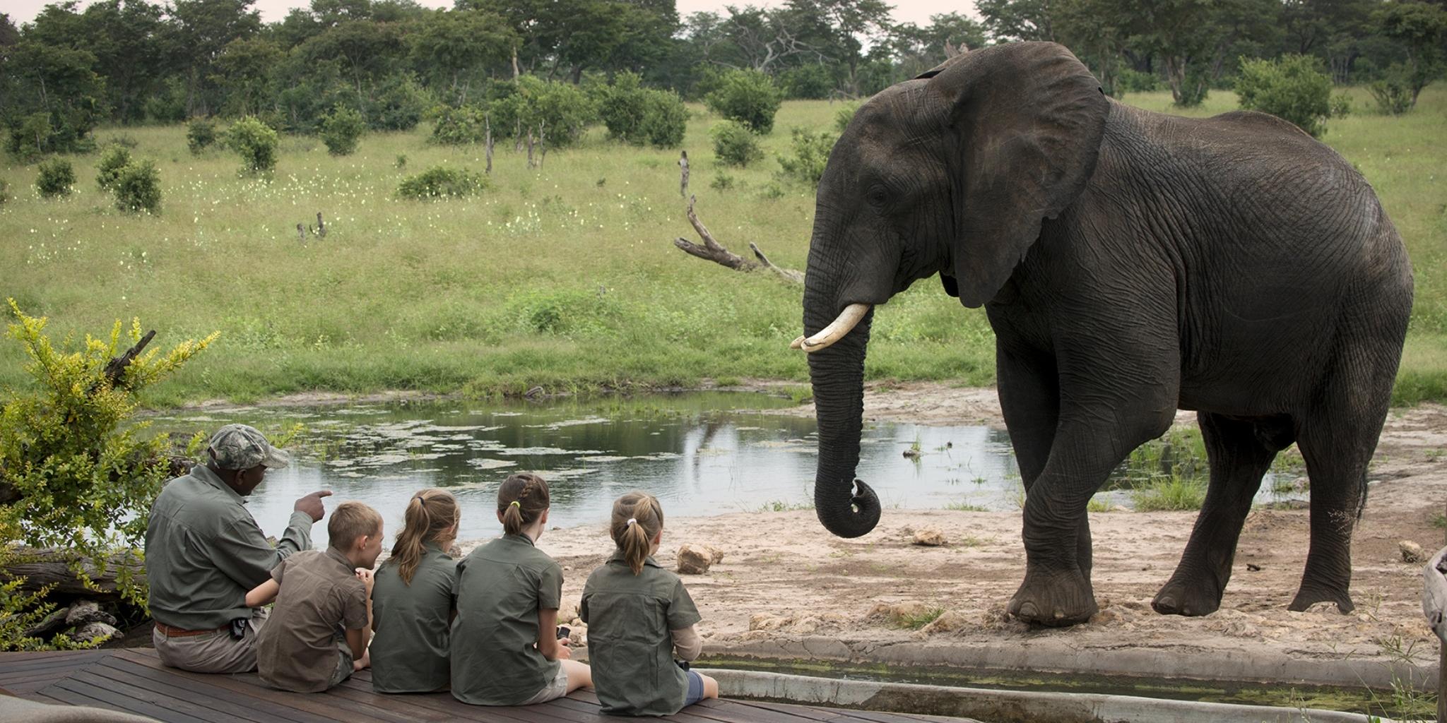 Four children with a guide sat looking at a majestic elephant