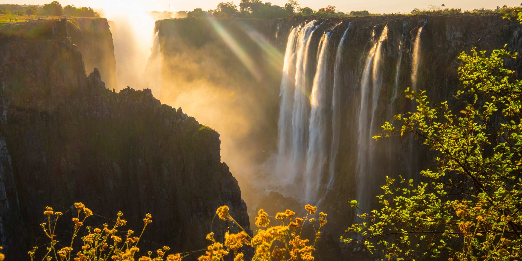 Flowers and sunset at Vic Falls
