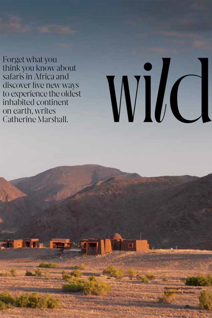 Into The Wild – Discover New Ways to Discover Africa