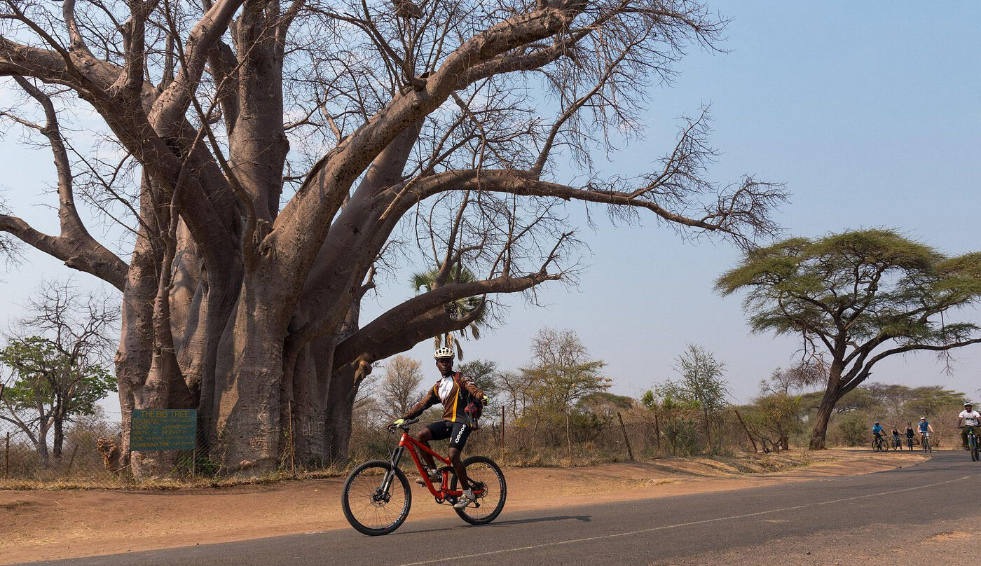 Bicycle Tour Victoria Falls