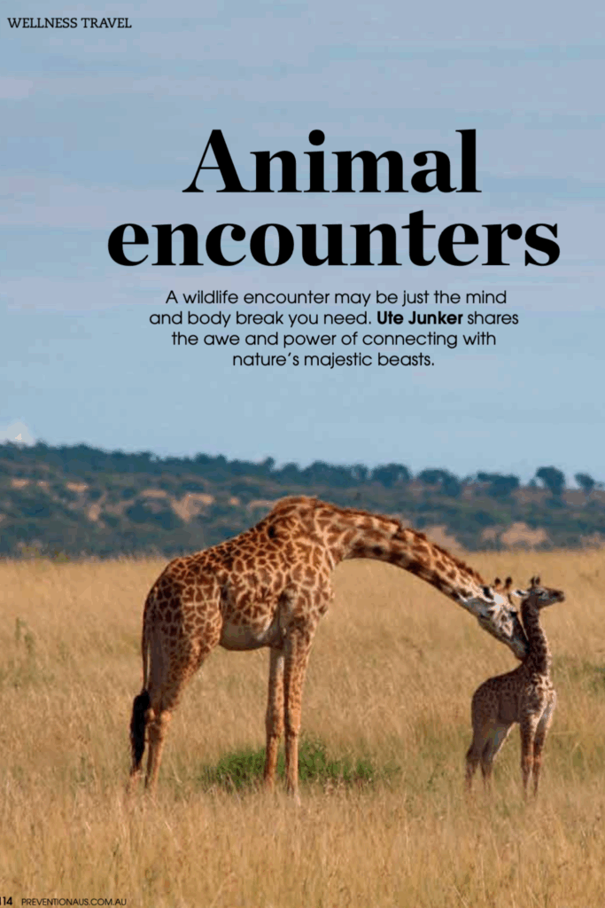 Kenya: Animal Encounters