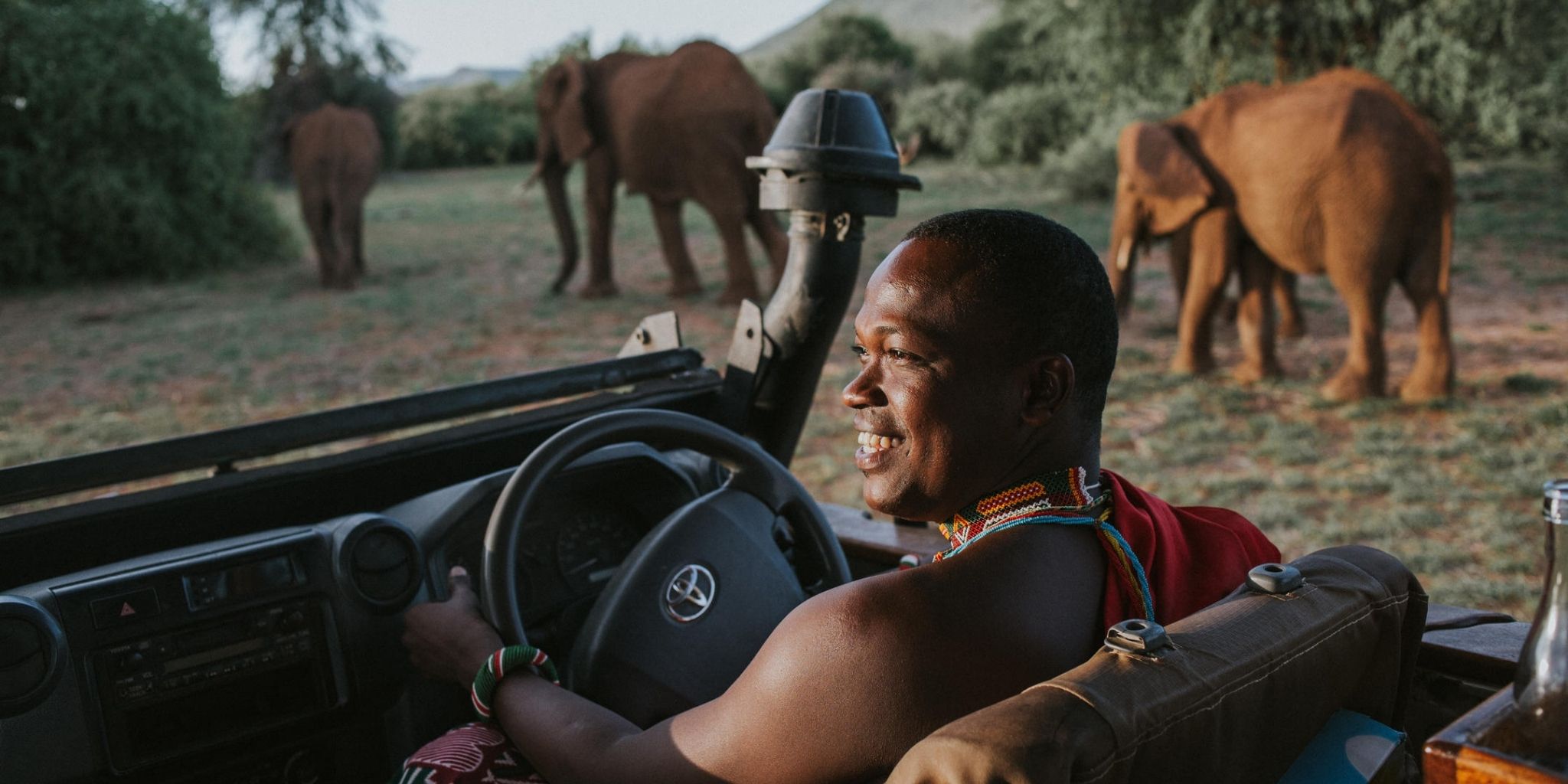 Guide sat in vehicle whilst elephants stroll past