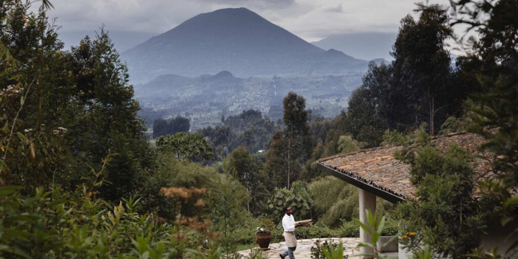 Gorilla Trekking – Wilderness Sabyinyo