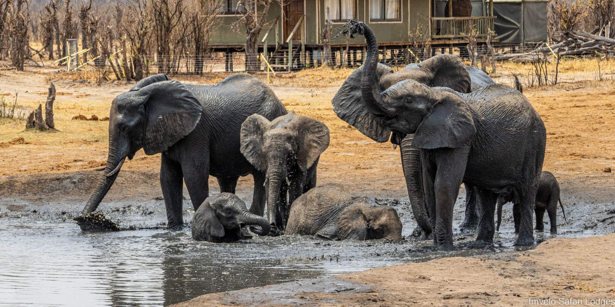 Elephants at Nahimba coming to water source during dry season