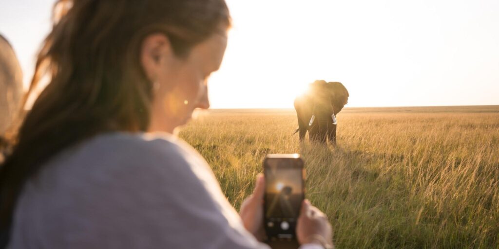 Woman take a photo of an elephant on her smart phone