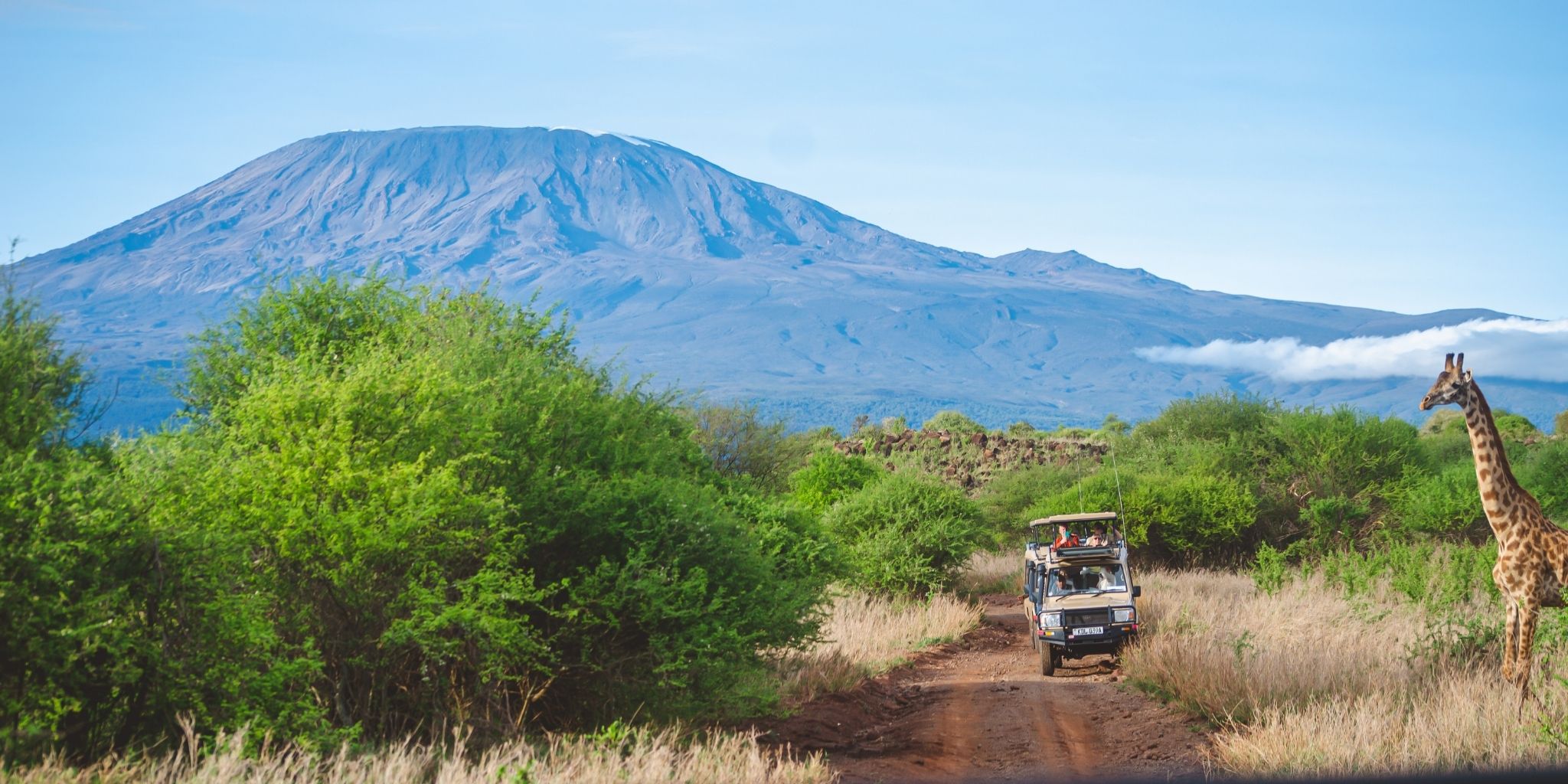 Safari School: A Safari Guide for First Timers