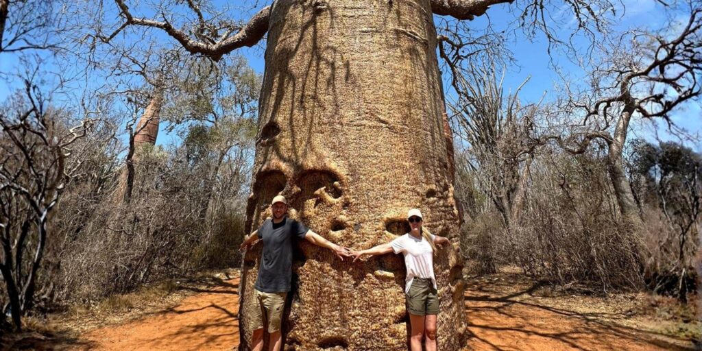 Baobab tree in ancient baobab forest, couple holding hands 