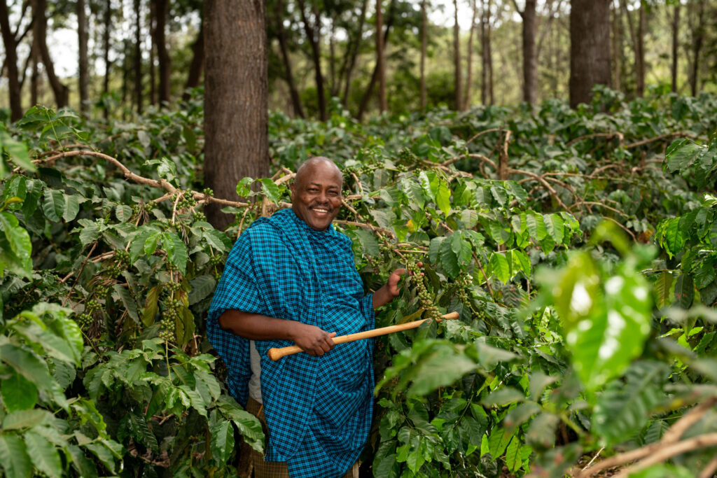 Tanzania Highlights – Classic