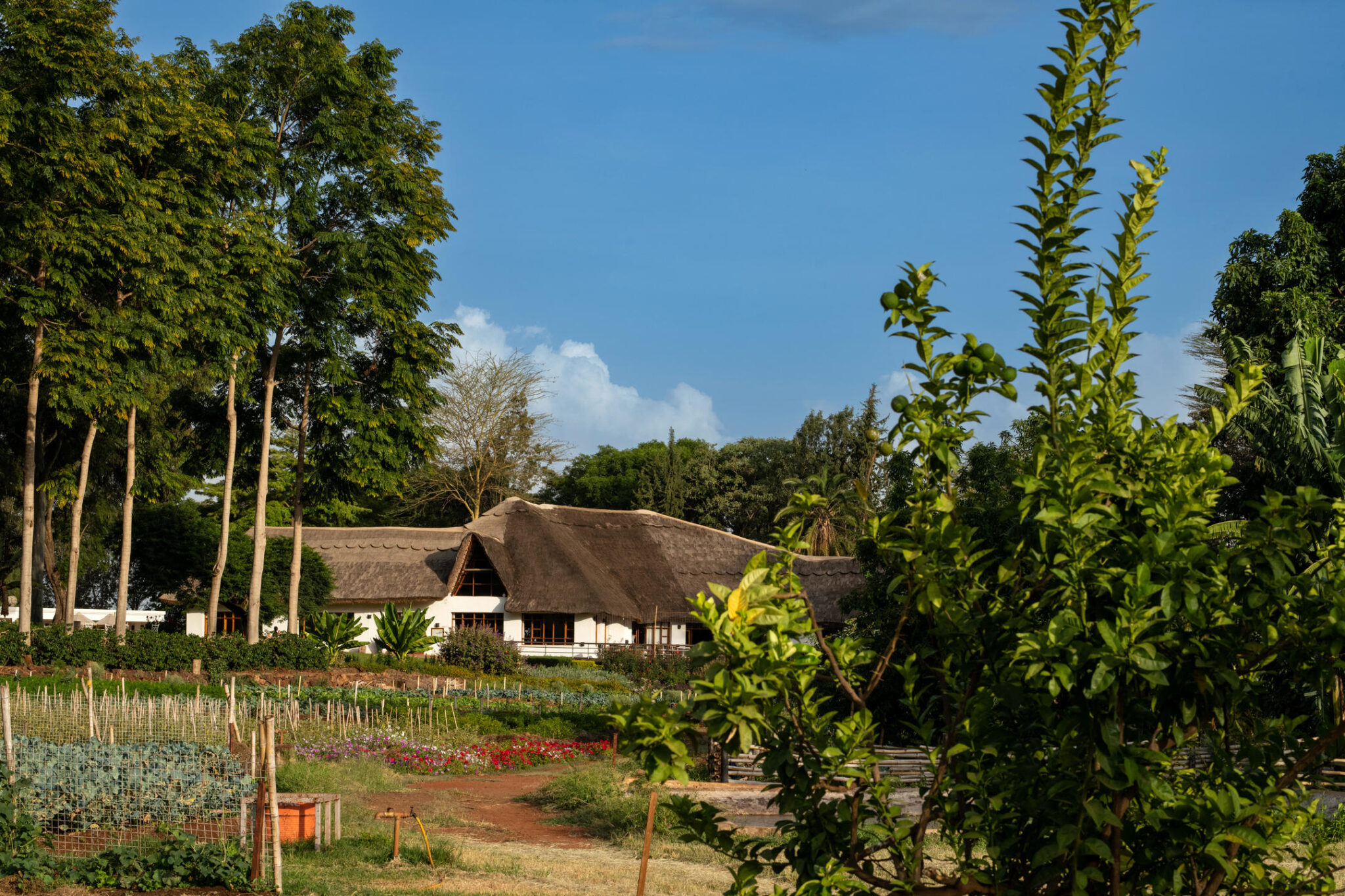 Ngorongoro Farm House