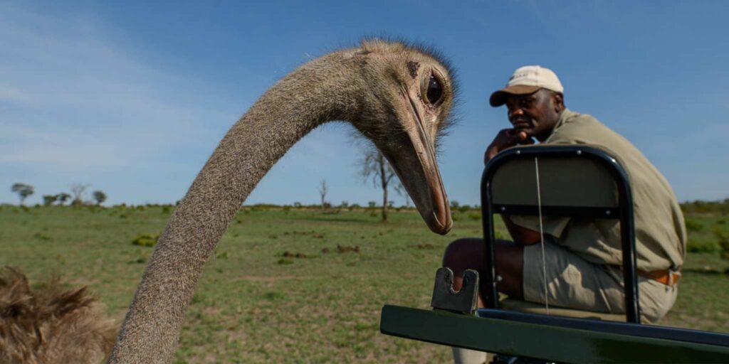 The Southern Africa Trilogy