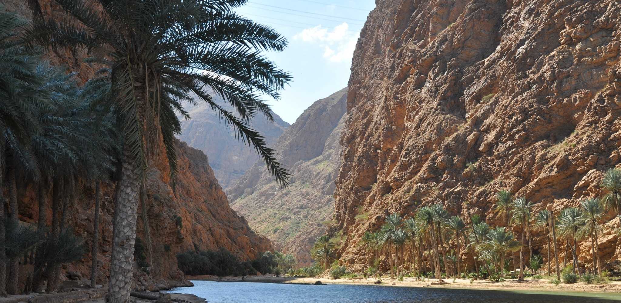 Palm tree surrounded by mountainous Wadi Bani Awf