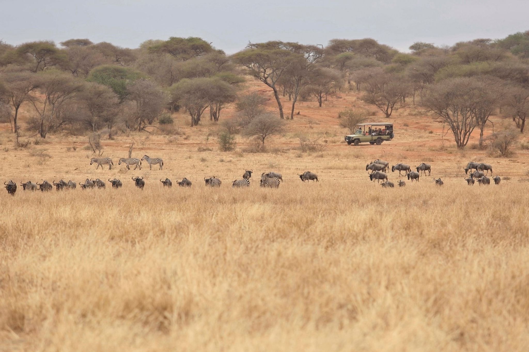 Tanzania introduces mandatory inbound travel insurance from 01 October 2026