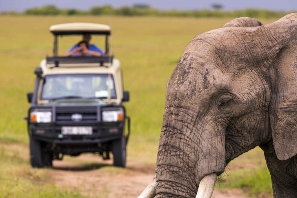 Kenya introduces mandatory inbound travel insurance from 05 October 2026